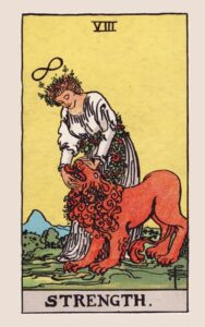 VIII. Kracht