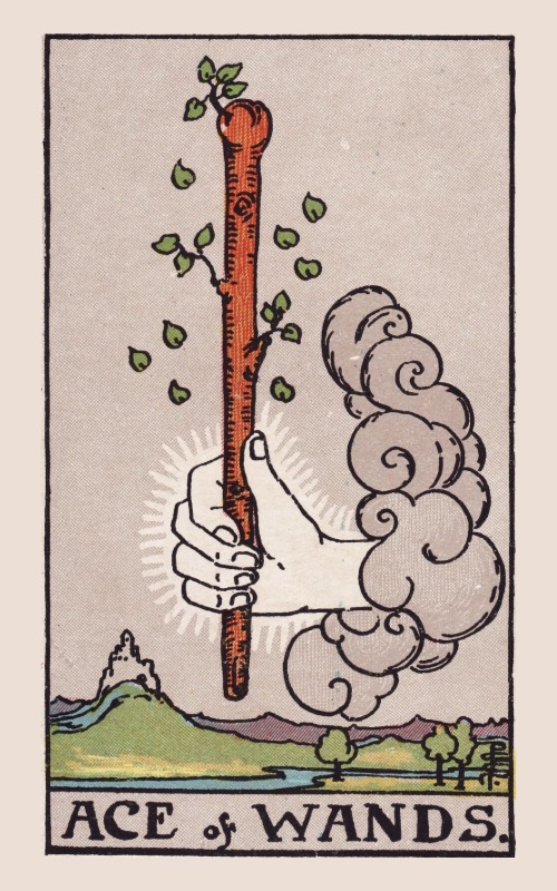 Staven Aas betekenis