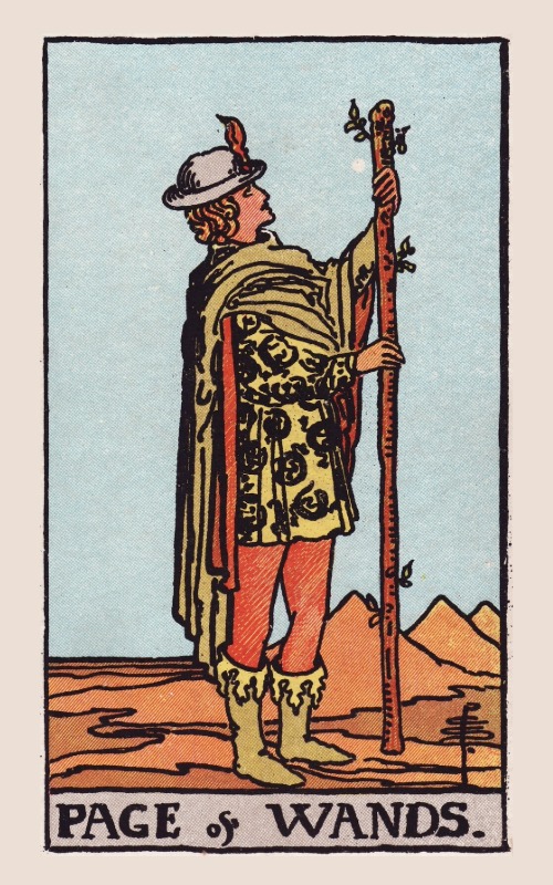 Staven Schildknaap betekenis