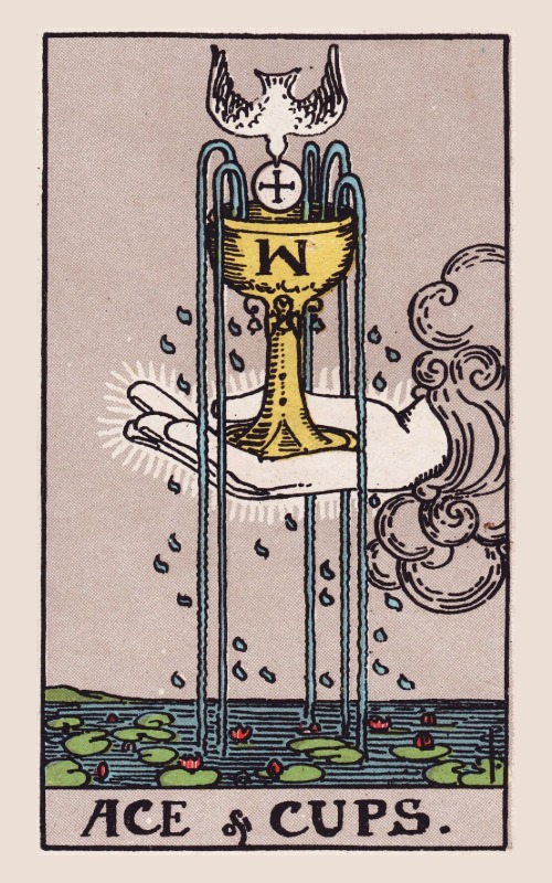 Bekers Aas betekenis