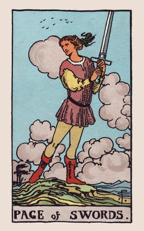 Zwaarden Schildknaap betekenis